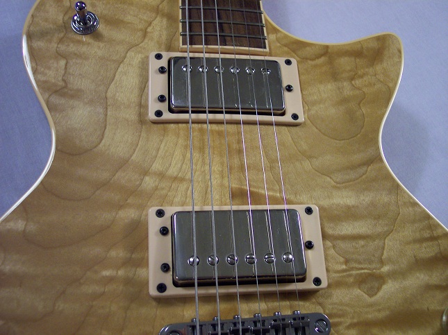 Bluesbird Picture 13